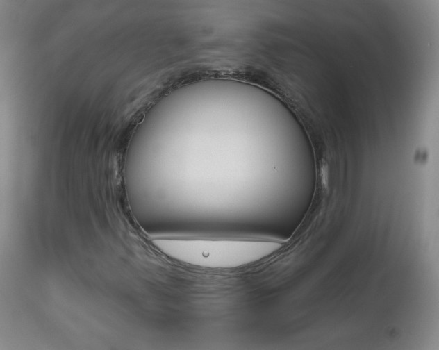 X0000112521347200908171102