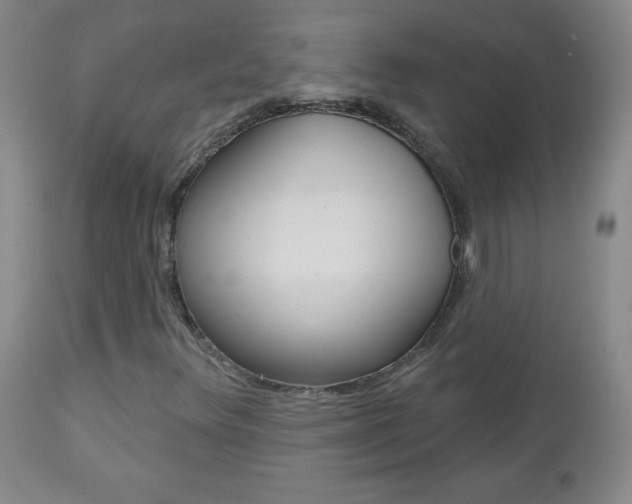 X0000112521348200908171102