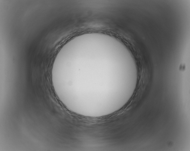 X0000112521349200908171102