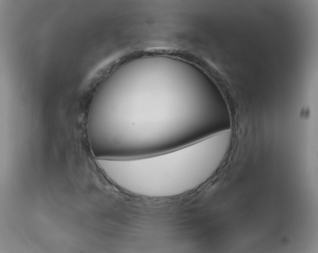 X0000112521351200908171102