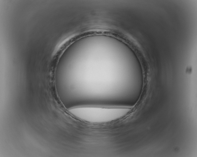 X0000112521352200908171102