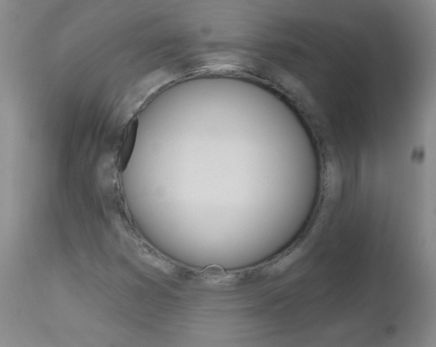X0000112521353200908171102