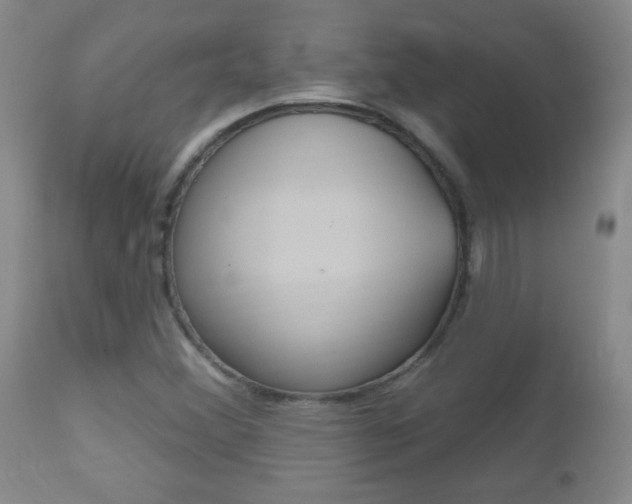 X0000112521356200908171102