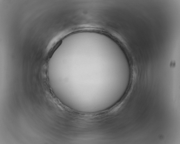 X0000112521357200908171102
