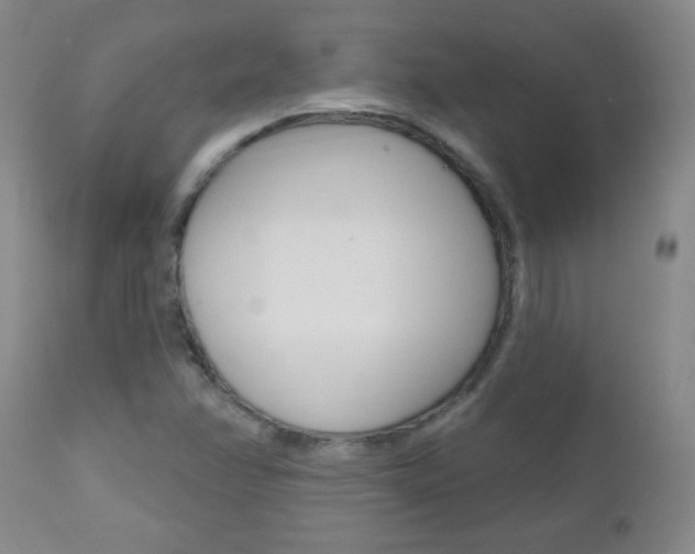 X0000112521358200908171102