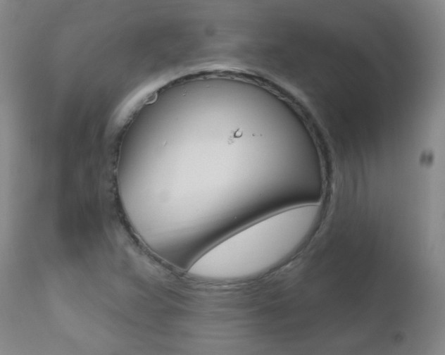 X0000112521359200908171102