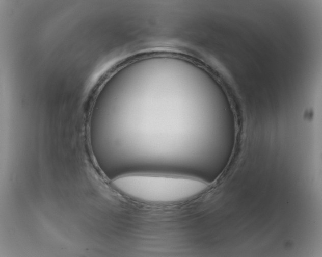 X0000112521360200908171102