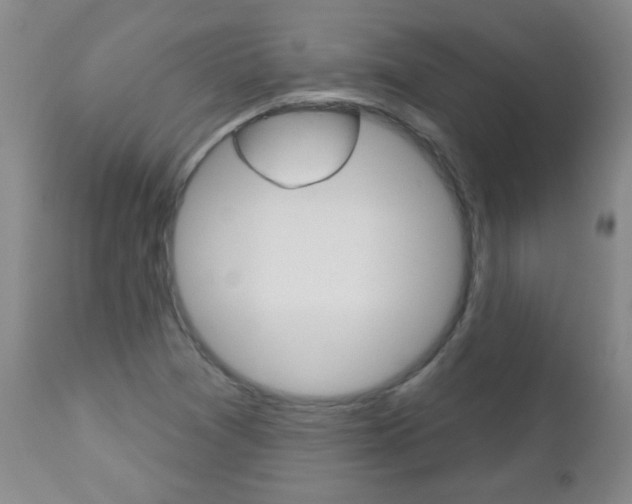 X0000112521361200908171102