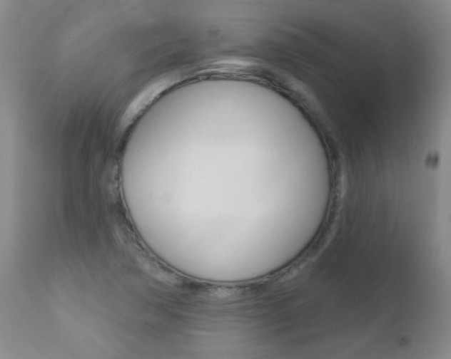 X0000112521362200908171102