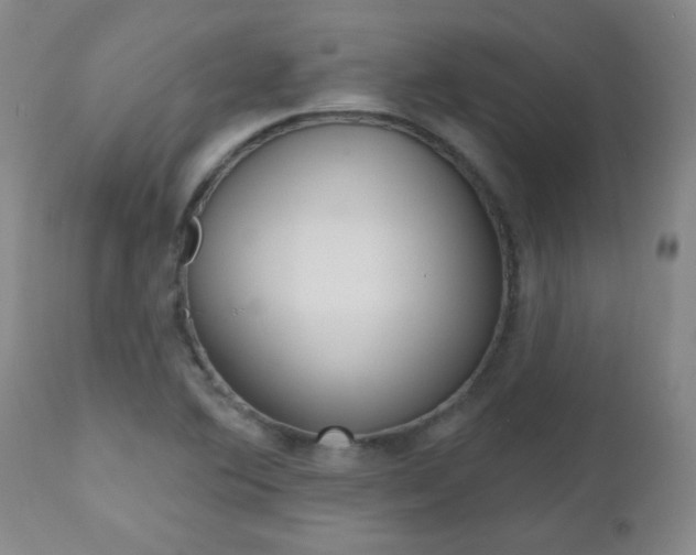 X0000112521364200908171102
