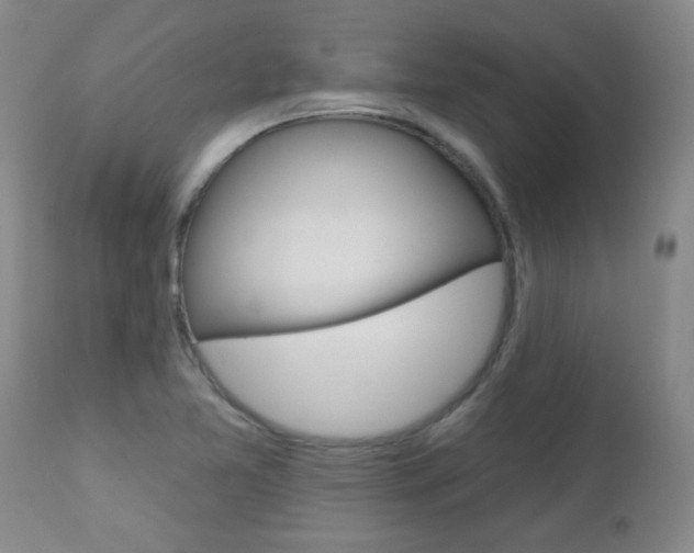 X0000112521365200908171102