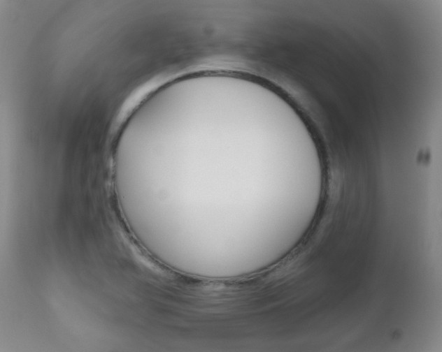 X0000112521366200908171102