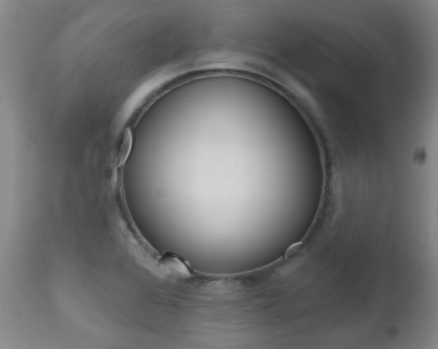 X0000112521368200908171102
