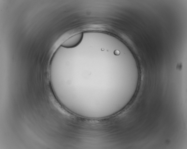 X0000112521370200908171102