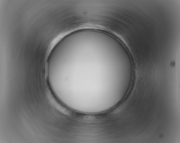X0000112521371200908171102