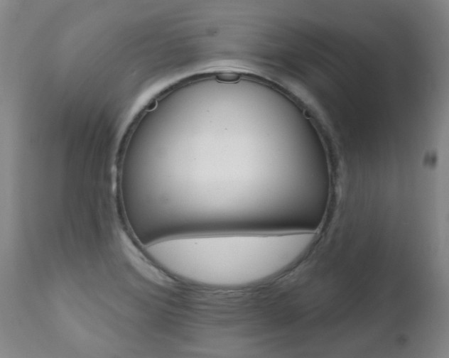 X0000112521372200908171102