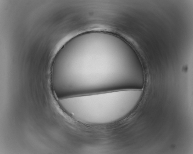 X0000112521375200908171102