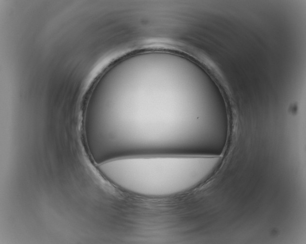 X0000112521376200908171102
