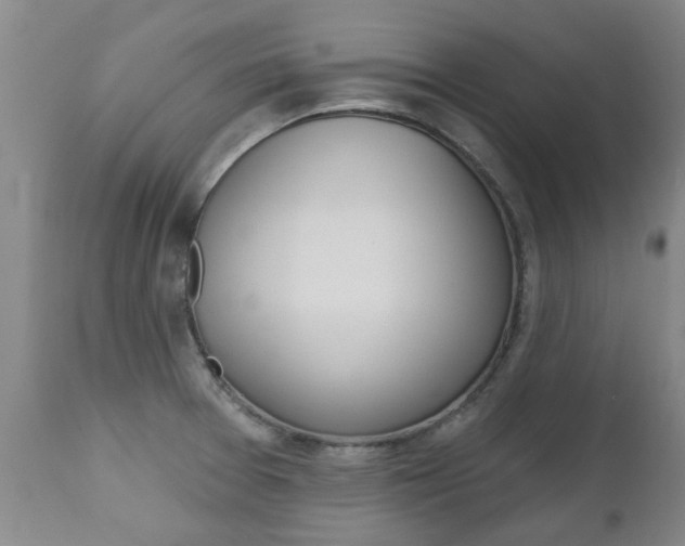 X0000112521377200908171102