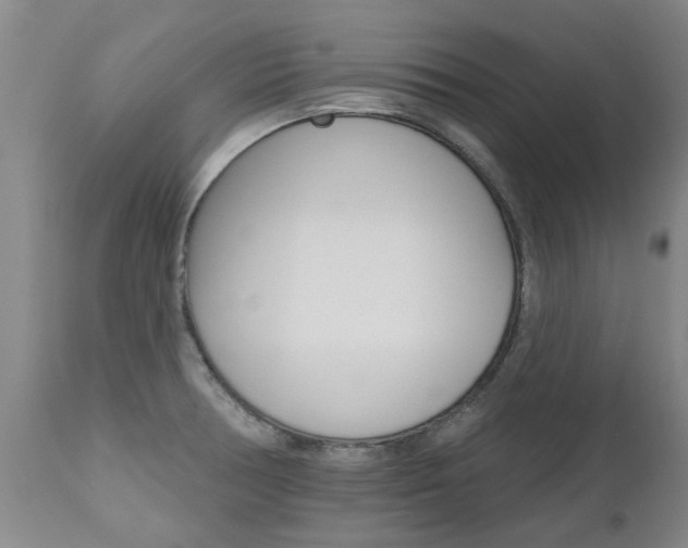 X0000112521378200908171102