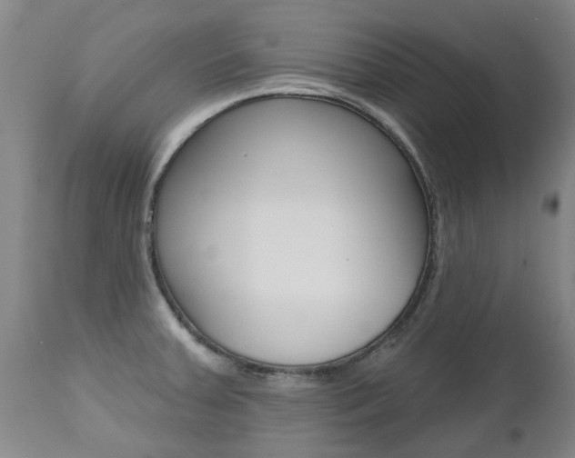 X0000112521379200908171102