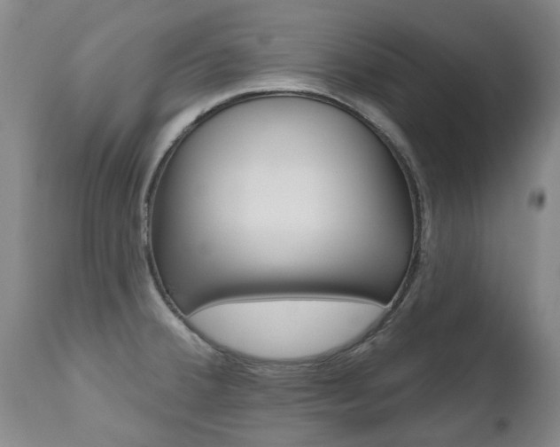 X0000112521380200908171102