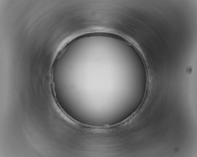 X0000112521381200908171102