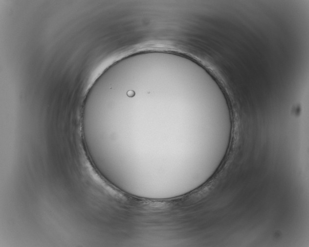 X0000112521382200908171102