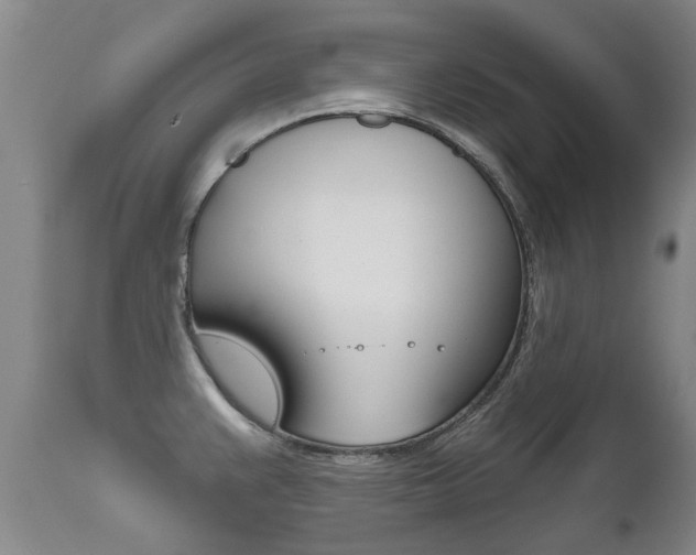 X0000112521383200908171102