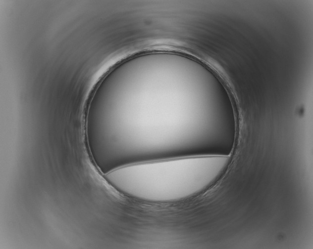X0000112521384200908171102