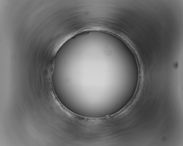 X0000112521385200908171102
