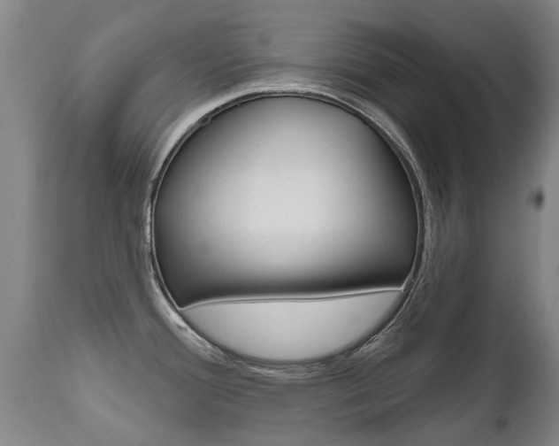 X0000112521388200908171102