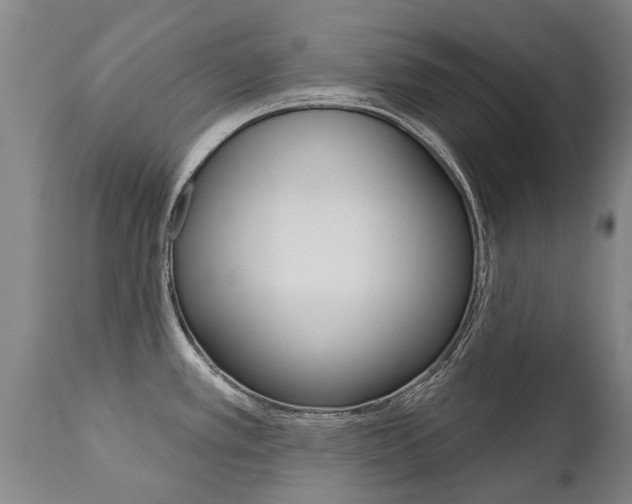 X0000112521389200908171102
