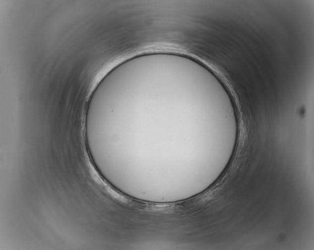 X0000112521390200908171101