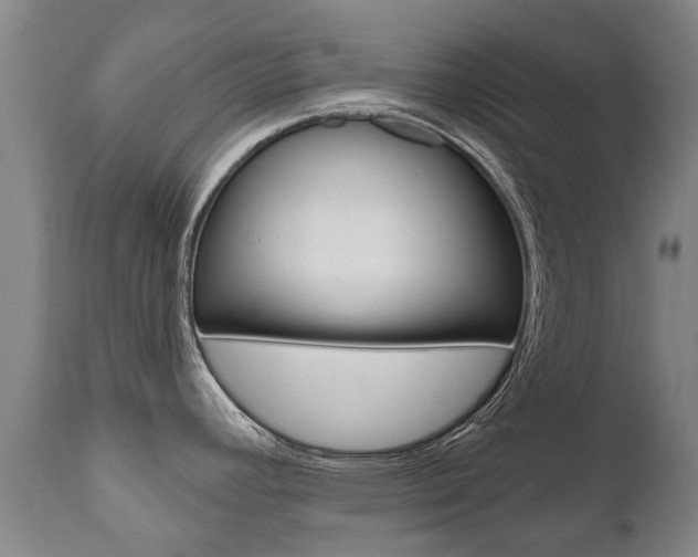 X0000112521392200908171101