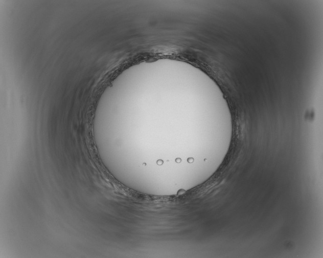 X0000112521393200908171101