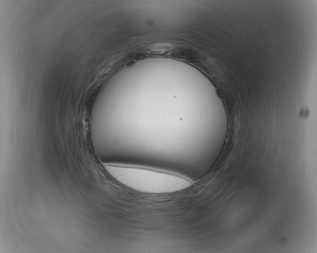 X0000112521394200908171101