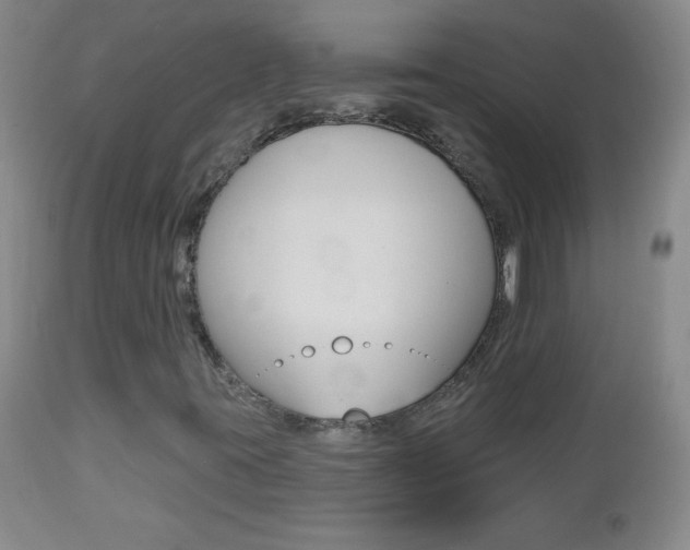 X0000112521395200908171101