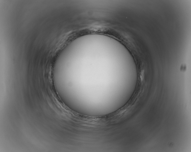 X0000112521396200908171101