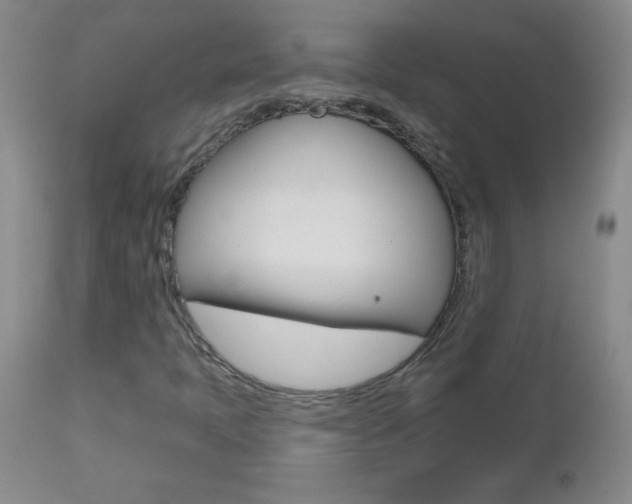 X0000112521397200908171101