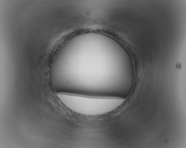 X0000112521398200908171101