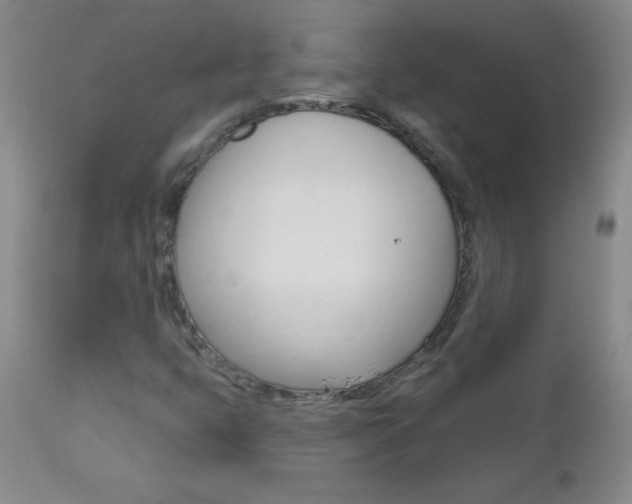 X0000112521399200908171101