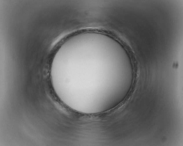 X0000112521400200908171101