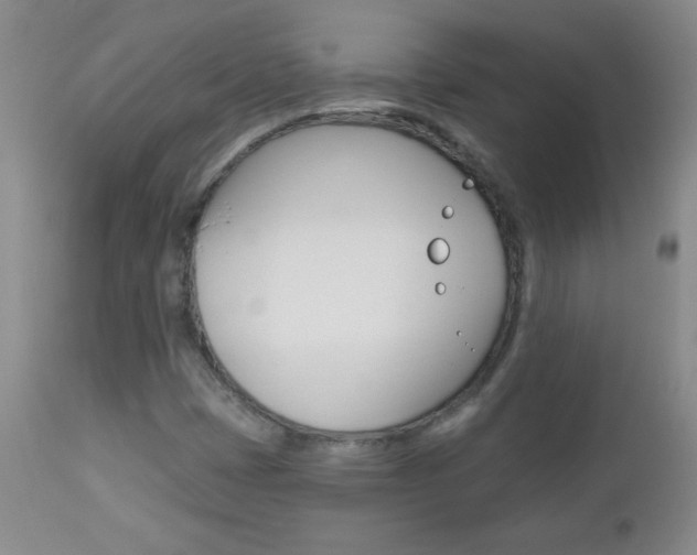X0000112521401200908171101