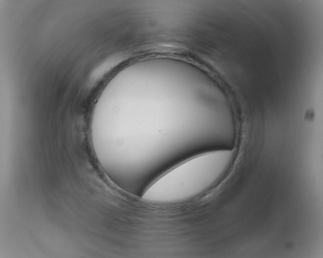 X0000112521402200908171101