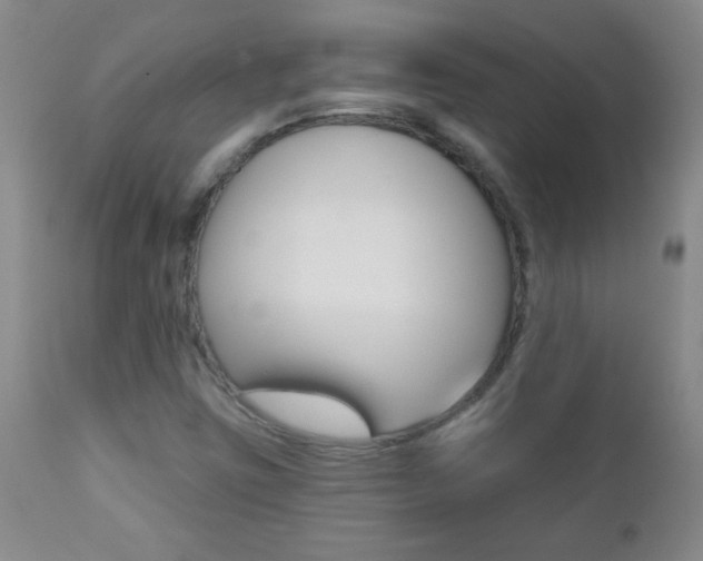 X0000112521403200908171101