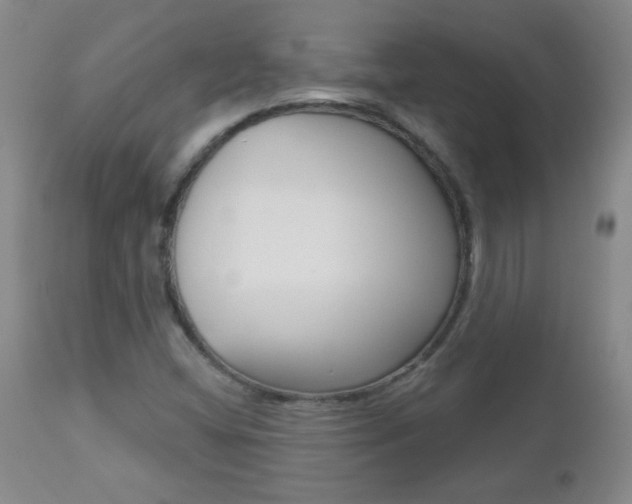 X0000112521404200908171101