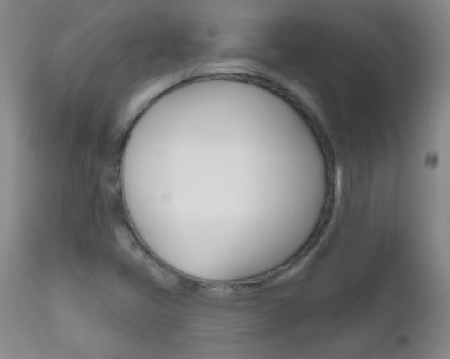 X0000112521405200908171101