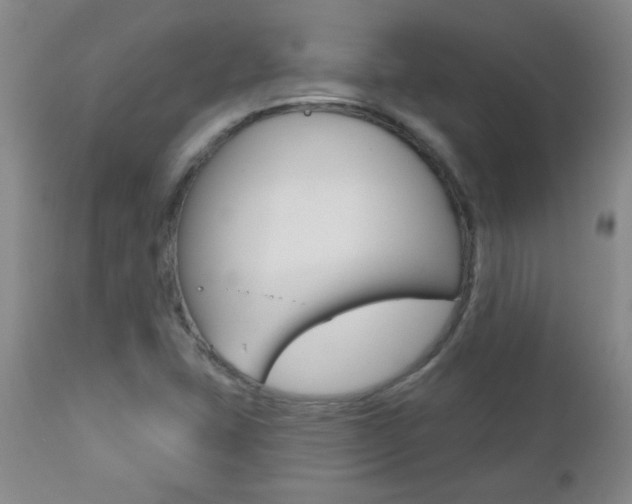 X0000112521407200908171101