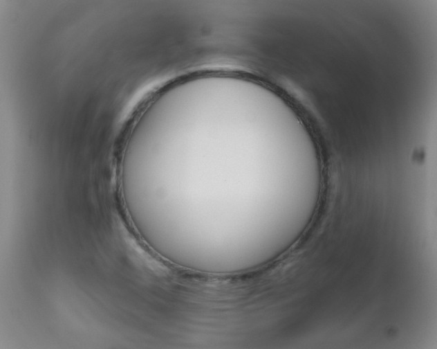 X0000112521408200908171101
